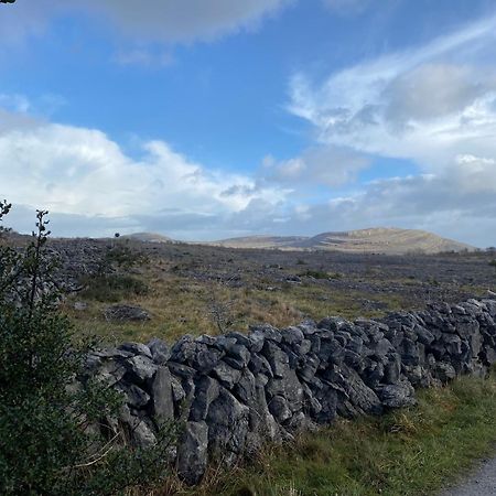 Burren Garden Glamping Hut Villa Boston ภายนอก รูปภาพ